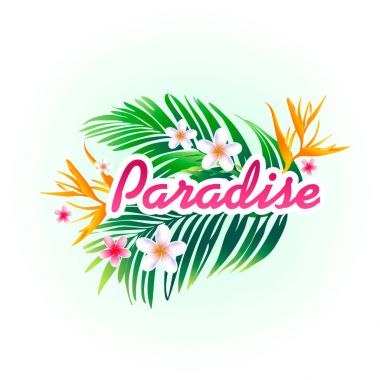 Yaz afiş vektör çizim