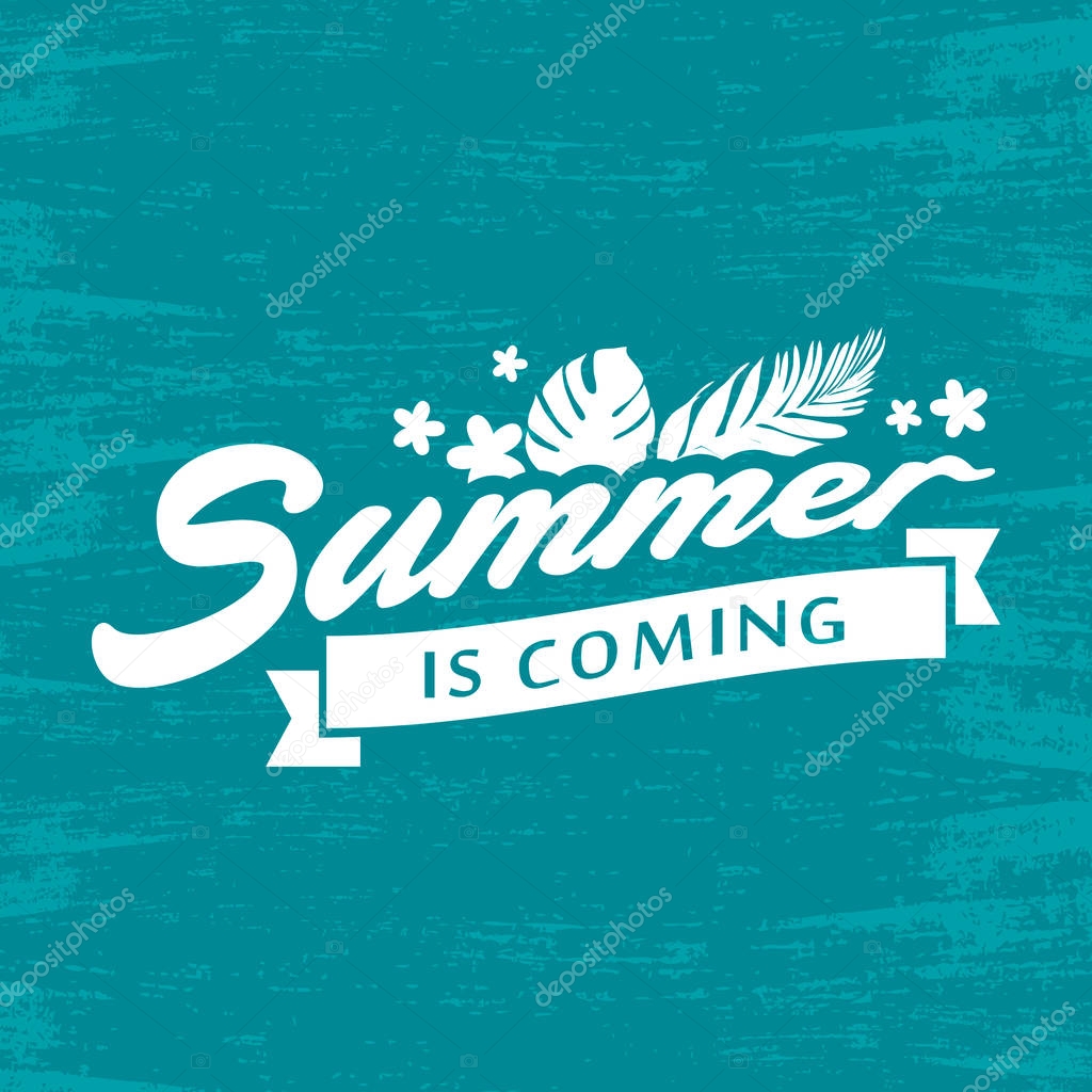 Summer banner vector illustration