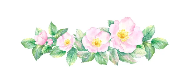 Watercolor Drawing Rose Hip Flowers Leaves Border Isolated White Background — 스톡 사진