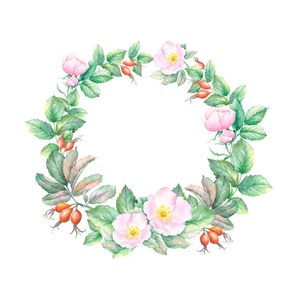 Watercolor Sketch Wreath Wild Rose Hips Flowers Leaves Isolated White — 스톡 사진