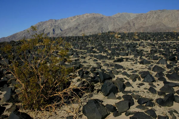 미국 애리조나 사막의 검은 화산 바위 — 스톡 사진