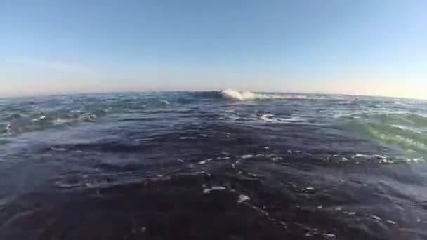 Sea waves hit directly into the camera, backlit Sea Shooting — Stock Video