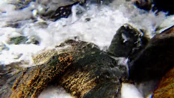 快速流动的新鲜清澈的水从春天 — 图库视频影像