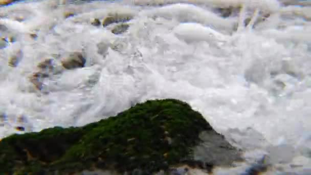 Det snabba flödet av tydliga färskvatten från våren — Stockvideo