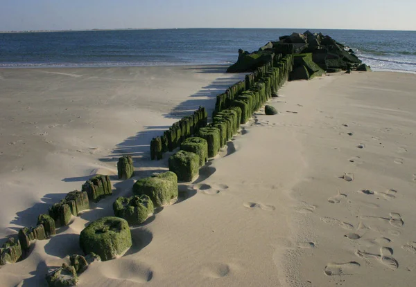 成堆的老年的系泊收购上海滩布莱顿碧绿色海藻 — 图库照片
