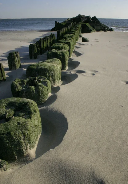 成堆的老年的系泊收购上海滩布莱顿碧绿色海藻 — 图库照片