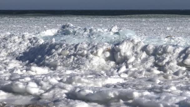 해안 근처 바다에 떠 있는 얼음 — 비디오