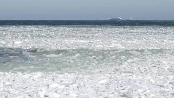 Drijvend ijs in de zee in de buurt van de kust — Stockvideo