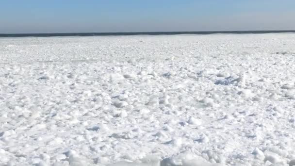 Плавающий лед в море рядом с берегом — стоковое видео