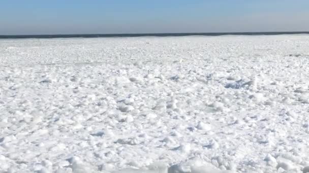 Glace flottante dans la mer près du rivage — Video