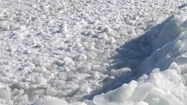 Floating ice in the sea near the shore — Stock Video