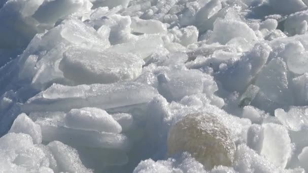 Drijvend ijs in de zee in de buurt van de kust — Stockvideo