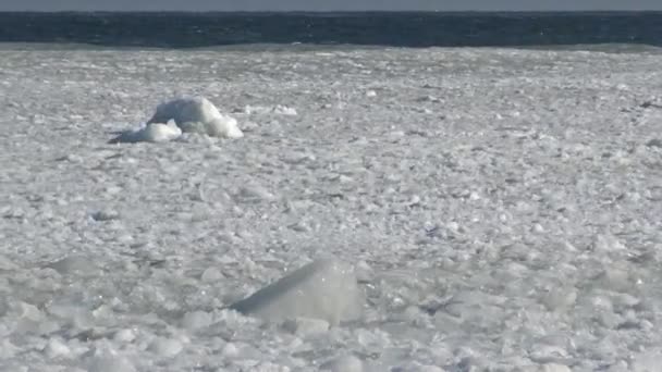 Flytande is i havet nära stranden — Stockvideo