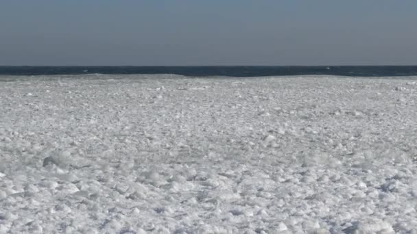 Drijvend ijs in de zee in de buurt van de kust — Stockvideo