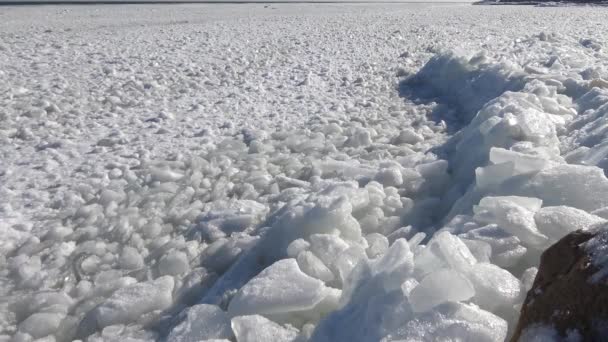 Drijvend ijs in de zee in de buurt van de kust — Stockvideo