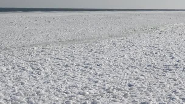 Glace flottante dans la mer près du rivage — Video