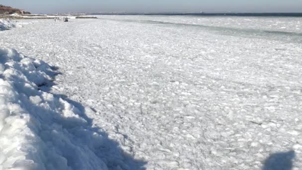 Treibeis im Meer in Küstennähe — Stockvideo