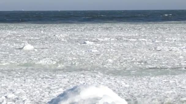 Hielo flotante en el mar cerca de la orilla — Vídeos de Stock