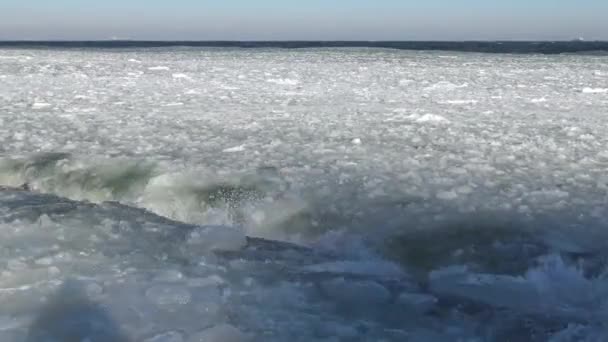 在海岸附近的海中漂浮着的冰 — 图库视频影像