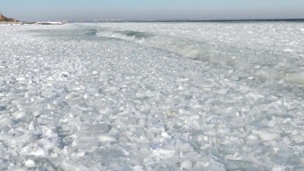 Unoszące się lodu na morzu, w pobliżu brzegu — Wideo stockowe