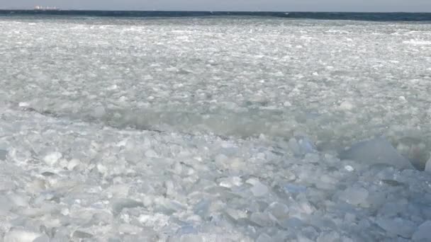Drijvend ijs in de zee in de buurt van de kust — Stockvideo