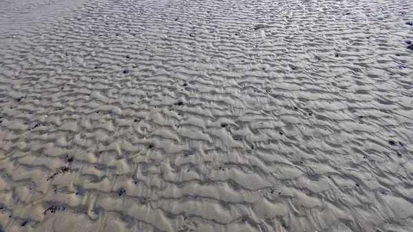 Zeichnungen auf dem schlammigen Boden des Ebbefeldes, die Reflexion der — Stockfoto