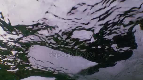Ijspegels aan de bevroren zwarte zee — Stockvideo