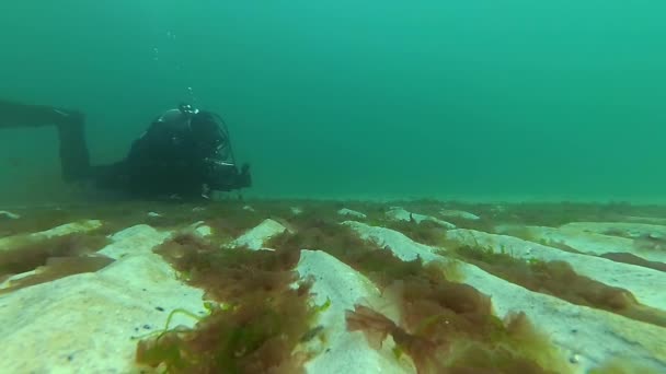 O fundo do mar, coberto com ondas de areia e algas — Vídeo de Stock