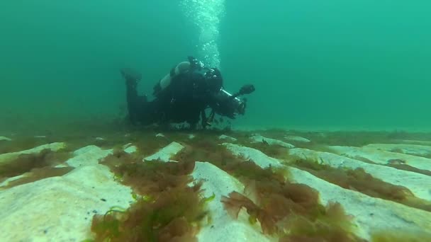 O fundo do mar, coberto com ondas de areia e algas — Vídeo de Stock