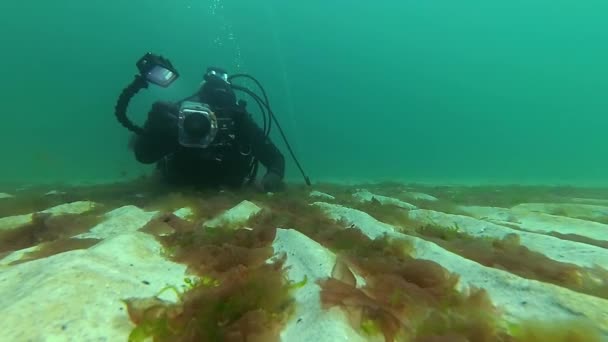 O fundo do mar, coberto com ondas de areia e algas — Vídeo de Stock