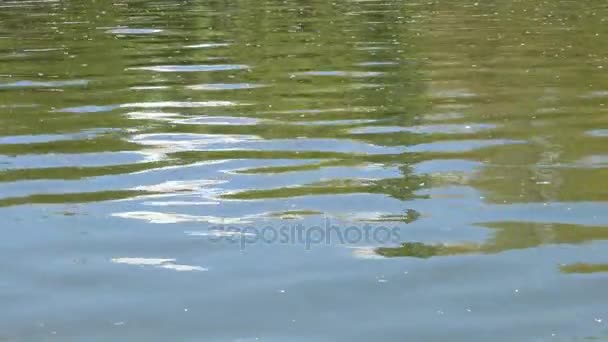 Mirada en el agua del lago, el reflejo del sol en el agua — Vídeo de stock