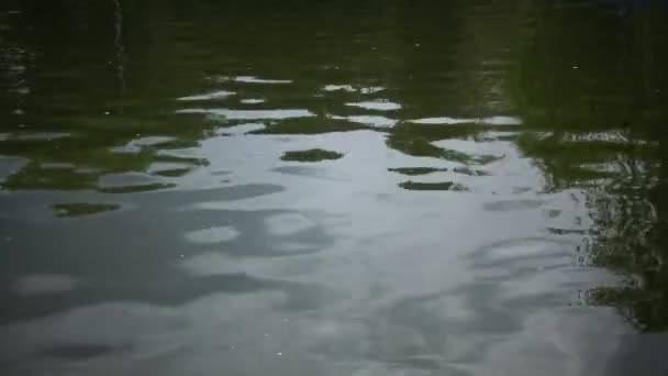 Mirada en el agua del lago, el reflejo del sol en el agua — Vídeos de Stock