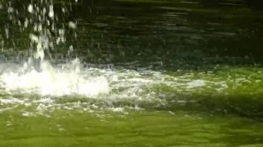 Fountain göle, su, su, Askania-Nova yansımalar yansıma su atıyor