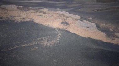 Artemia 'nın ölü karidesleri, kıyıya yakın, dalgalarda kayalar