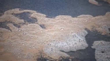 Artemia 'nın ölü karidesleri, kıyıya yakın, dalgalarda kayalar