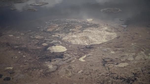 Artemia 'nın ölü karidesleri, kıyıya yakın, dalgalarda kayalar — Stok video