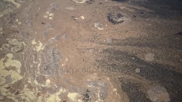 Artemia halott garnélarákjai, a part közelében, sziklák a hullámokon — Stock videók