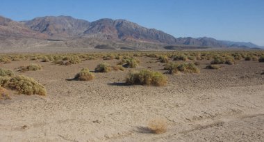 California, ölüm Vadisi Milli Parkı, çamur Dunes