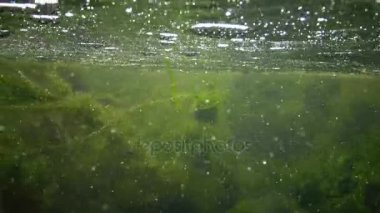 Kamera karşı su taşır. Taze su akar.