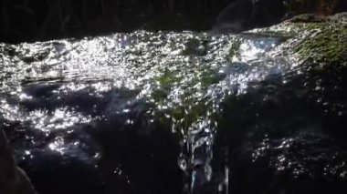 Tatlı su akar. Hızlı akan su yosun