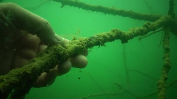 Bewegt sich die Kamera gegen das Wasser. Frischwasser fließt. Algen im schnell fließenden Wasser. — Stockvideo