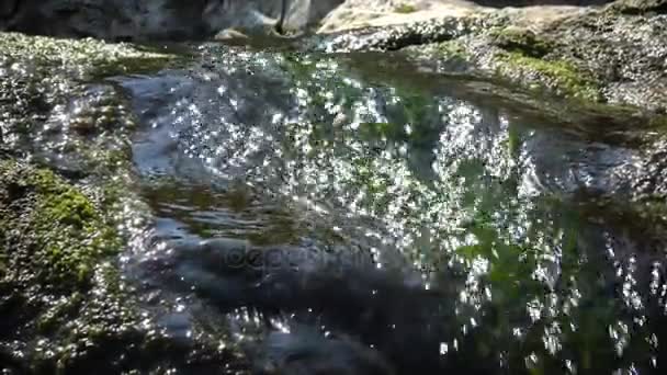 Камера движется против воды. Свежая вода течет. Водоросли в быстротекущей воде . — стоковое видео