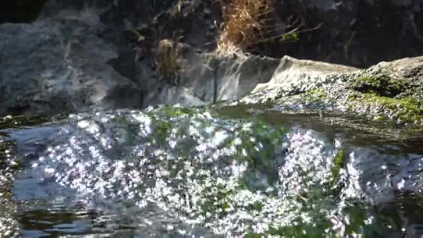 El agua dulce fluye. Algas en aguas rápidas — Vídeo de stock