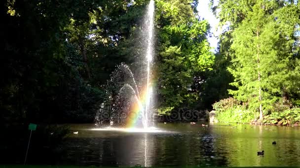 噴水にかかる虹。植物園はナントの向かいに位置しています。フランス、ナント — ストック動画