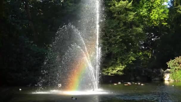 噴水にかかる虹。植物園はナントの向かいに位置しています。フランス — ストック動画