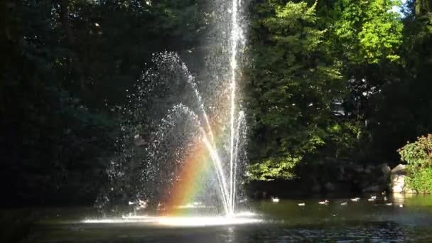 噴水にかかる虹。植物園はナントの向かいに位置しています。フランス — ストック動画