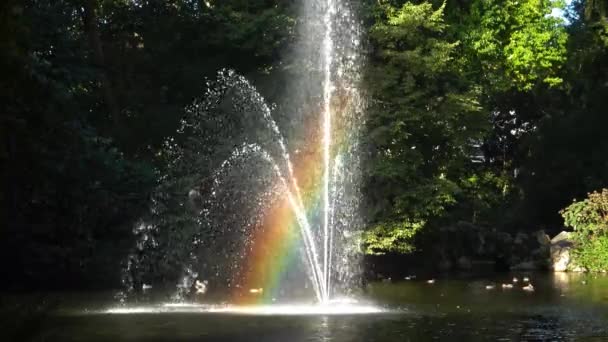 Arc-en-ciel dans la fontaine. Le Jardin Botanique est situé en face de Nantes. FRANCE — Video