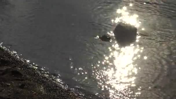 Brilho Sol Sobre Água Reflexo Luz Refração Dos Raios Sol — Vídeo de Stock