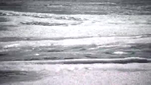 嵐の中に海岸にカモメの海鳥 オデッサ湾 — ストック動画