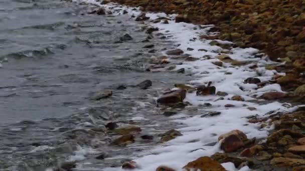 Грязная Пена Воде Берегу Моря Эвтрофикация Загрязнение Водохранилища Экологическая Проблема — стоковое видео